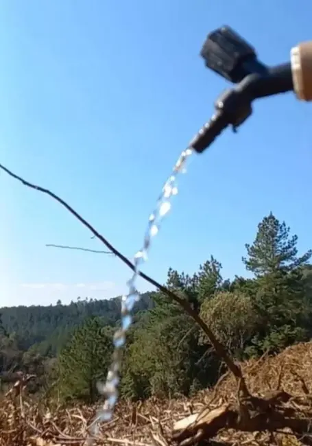 Foto 8 de Sítio / Rancho à venda, 30m2 em Anitapolis - SC