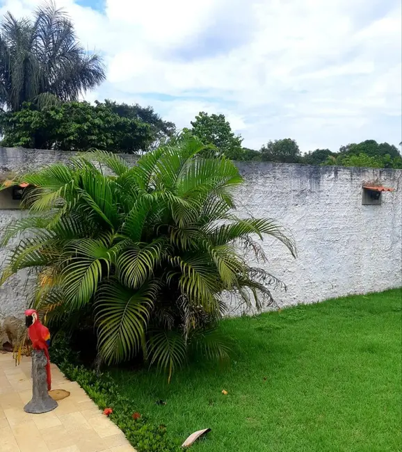 Foto 22 de Terreno / Lote à venda em Iranduba - AM