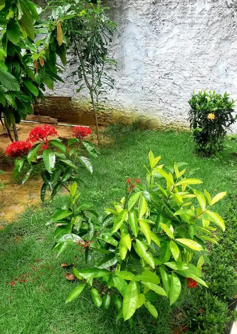 Foto 17 de Terreno / Lote à venda em Iranduba - AM