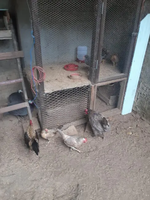 Foto 14 de Terreno / Lote à venda em Iranduba - AM