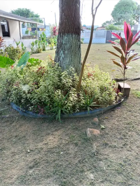 Foto 7 de Chácara com 3 quartos à venda, 3658m2 em Manaus - AM