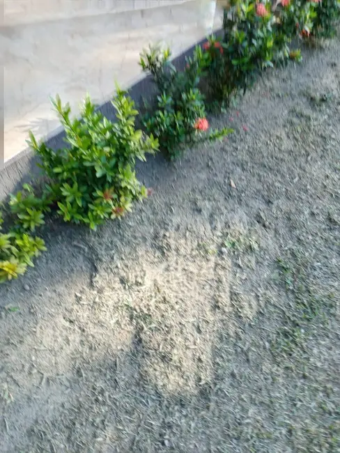 Foto 8 de Chácara com 3 quartos à venda, 3658m2 em Manaus - AM