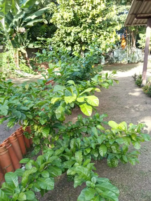 Foto 6 de Chácara com 3 quartos à venda, 3658m2 em Manaus - AM