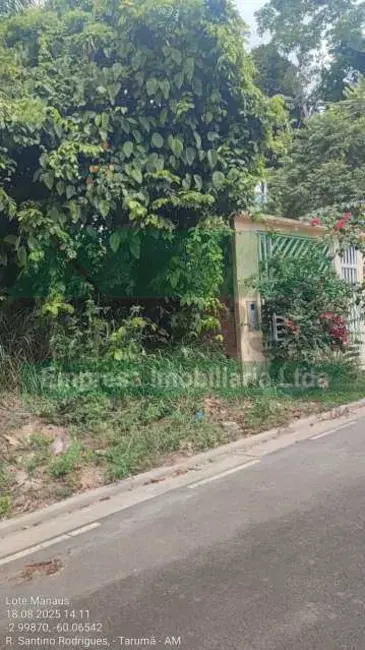 Foto 7 de Terreno / Lote à venda, 200m2 em Manaus - AM