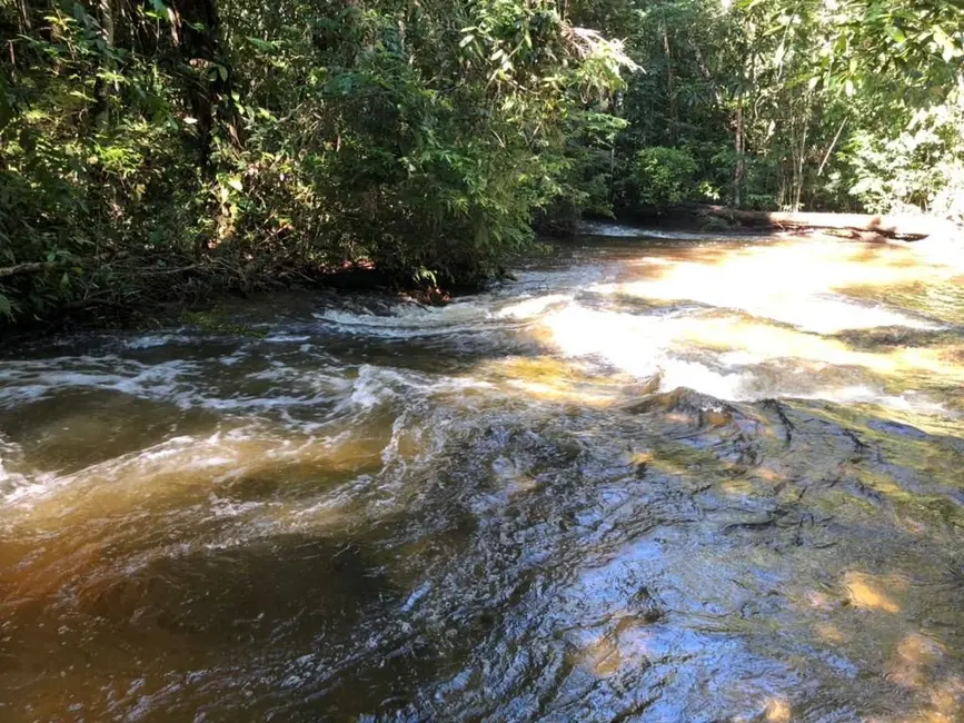 Terreno / Lote à venda em Manaus - AM - imagem 5 Foto 5 de Terreno / Lote à venda em Manaus - AM