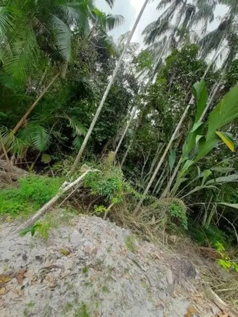 Casa de Condomínio com 10 quartos à venda, 5670m2 em Manaus - AM - imagem 4 Foto 4 de Casa de Condomínio com 10 quartos à venda, 5670m2 em Manaus - AM
