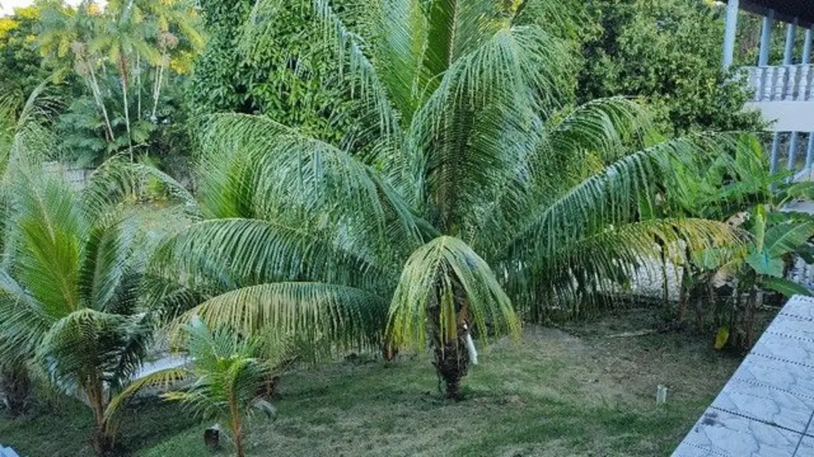 Foto 6 de Casa com 6 quartos à venda, 1000m2 em Manaus - AM