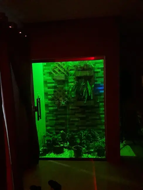 Casa de Condomínio com 3 quartos à venda, 426m2 em Manaus - AM - imagem 7 Foto 7 de Casa de Condomínio com 3 quartos à venda, 426m2 em Manaus - AM