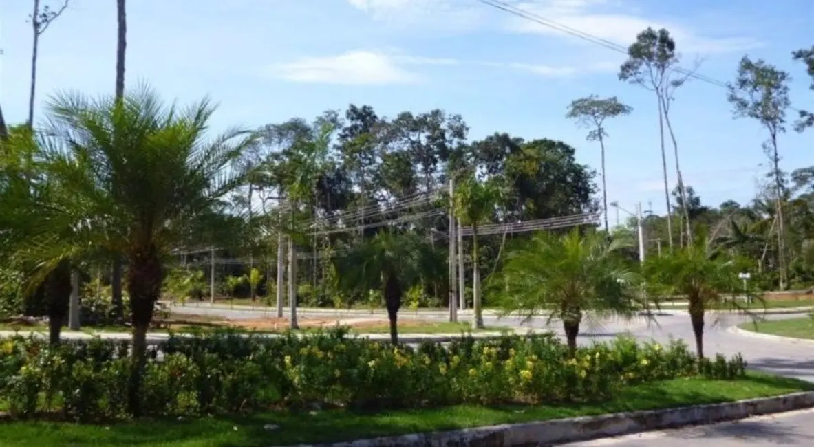 Terreno / Lote à venda em Manaus - AM - imagem 5 Foto 5 de Terreno / Lote à venda em Manaus - AM
