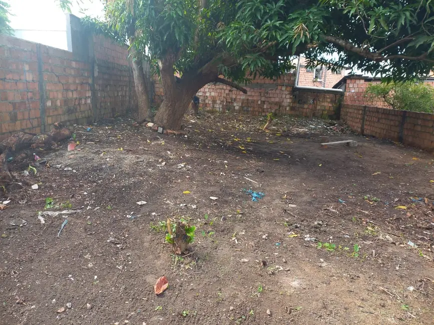 Foto 3 de Terreno / Lote à venda em Manaus - AM