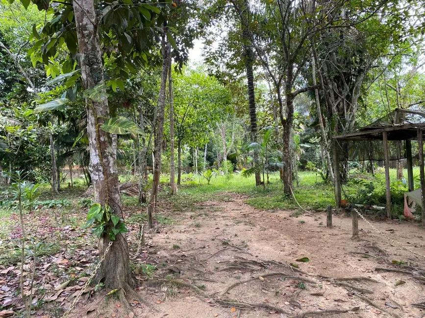 Foto 8 de Sítio / Rancho com 1 quarto à venda, 100m2 em Manaus - AM