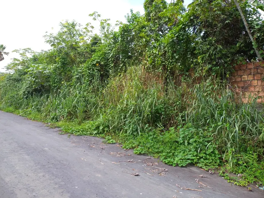 Foto 8 de Terreno / Lote à venda em Manaus - AM