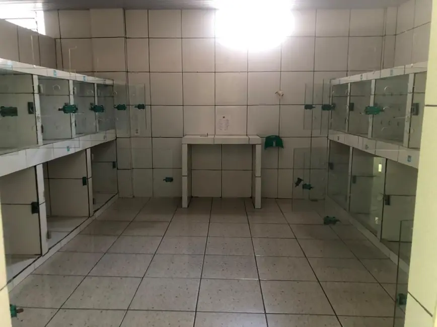 Foto 9 de Loja para alugar, 280m2 em Manaus - AM