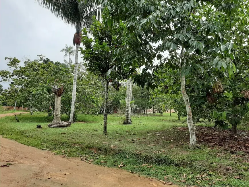 Foto 8 de Sítio / Rancho com 2 quartos à venda, 50m2 em Iranduba - AM