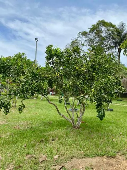 Chácara com 4 quartos à venda, 42m2 em Iranduba - AM - imagem 8 Foto 8 de Chácara com 4 quartos à venda, 42m2 em Iranduba - AM