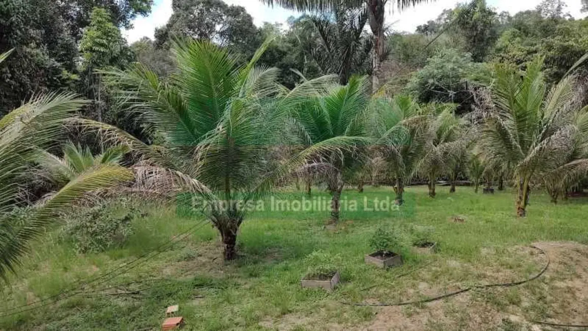 Foto 9 de Sítio / Rancho à venda, 500m2 em Presidente Figueiredo - AM