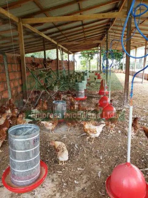 Sítio / Rancho com 2 quartos à venda, 38443m2 em Manaus - AM - imagem 6 Foto 6 de Sítio / Rancho com 2 quartos à venda, 38443m2 em Manaus - AM