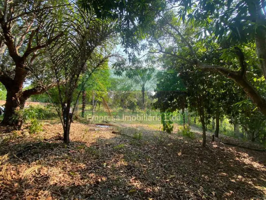 Foto 4 de Terreno / Lote para alugar em Manaus - AM