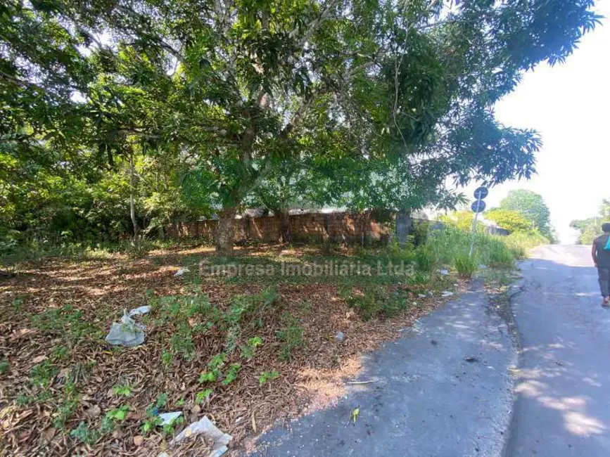 Foto 11 de Terreno / Lote para alugar em Manaus - AM