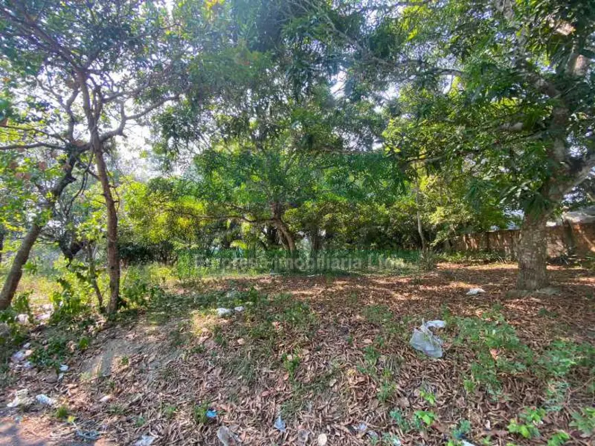 Foto 12 de Terreno / Lote para alugar em Manaus - AM