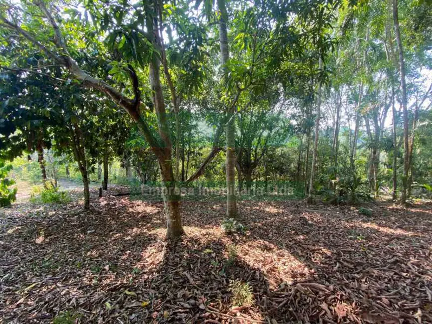 Foto 2 de Terreno / Lote para alugar em Manaus - AM