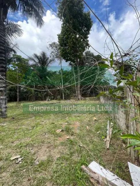 Chácara à venda em Presidente Figueiredo - AM - imagem 7 Foto 7 de Chácara à venda em Presidente Figueiredo - AM