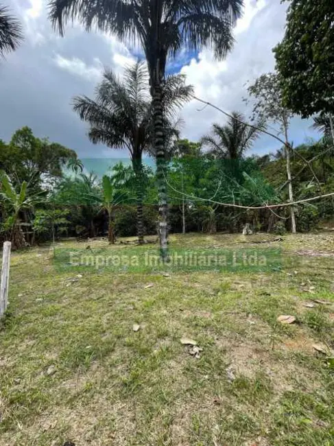 Chácara à venda em Presidente Figueiredo - AM - imagem 6 Foto 6 de Chácara à venda em Presidente Figueiredo - AM