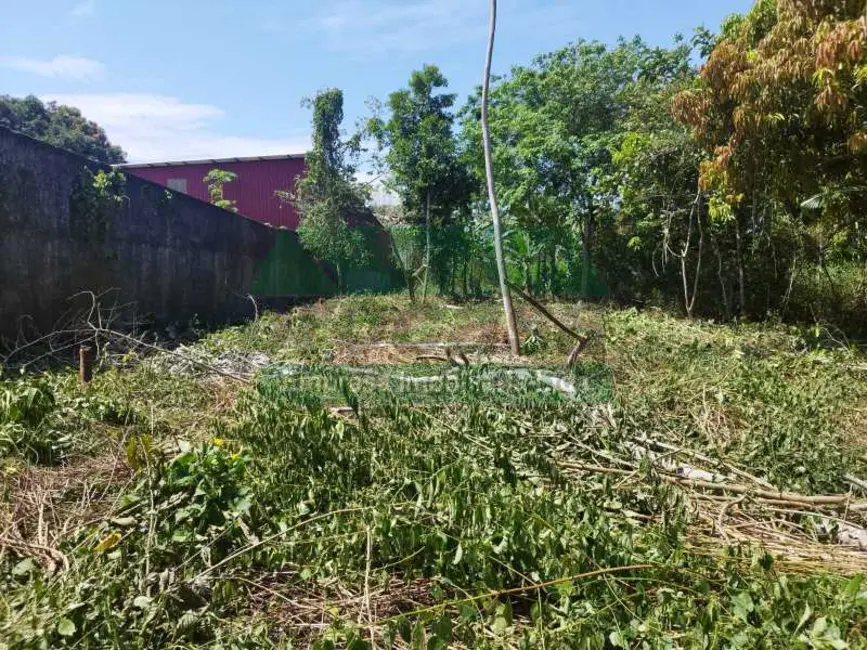 Foto 3 de Terreno / Lote para alugar, 3840m2 em Manaus - AM
