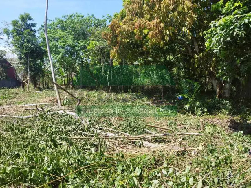 Foto 2 de Terreno / Lote para alugar, 3840m2 em Manaus - AM
