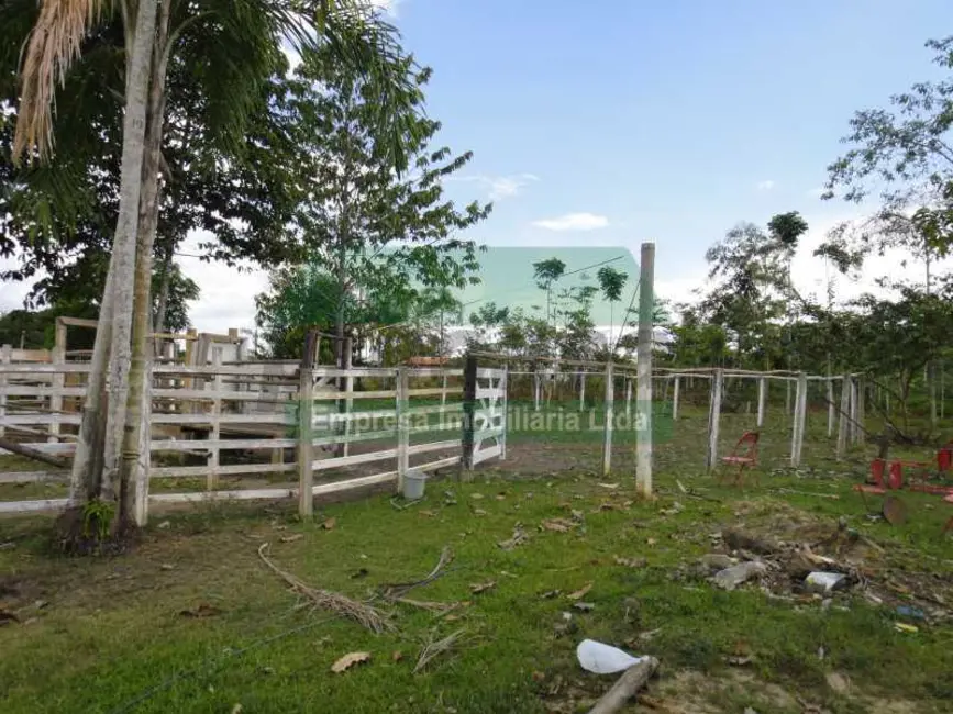 Foto 14 de Terreno / Lote à venda em Careiro - AM