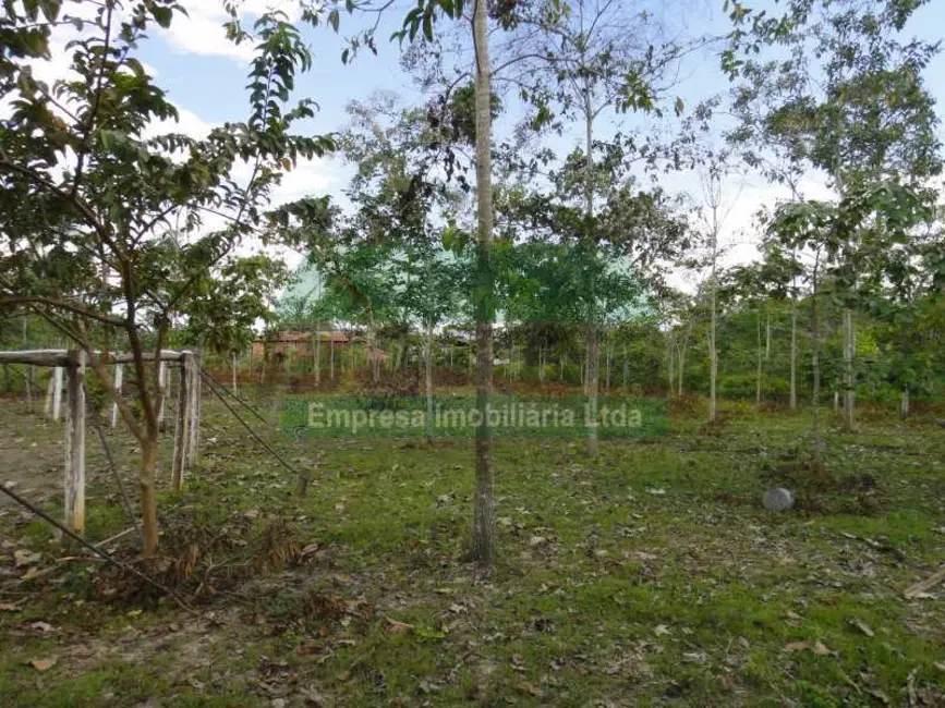 Foto 15 de Terreno / Lote à venda em Careiro - AM