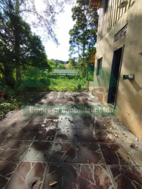 Foto 7 de Terreno / Lote à venda em Rio Preto Da Eva - AM