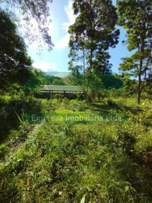 Foto 4 de Terreno / Lote à venda em Rio Preto Da Eva - AM