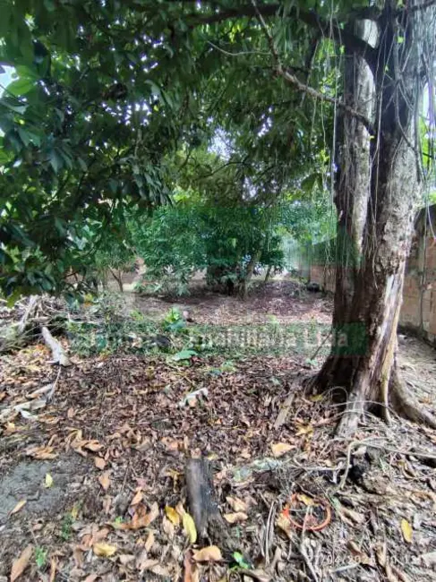 Foto 6 de Loja para alugar, 900m2 em Manaus - AM