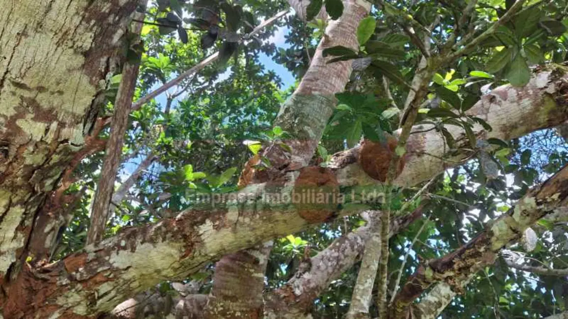 Foto 7 de Chácara com 4 quartos à venda, 3754m2 em Manaus - AM