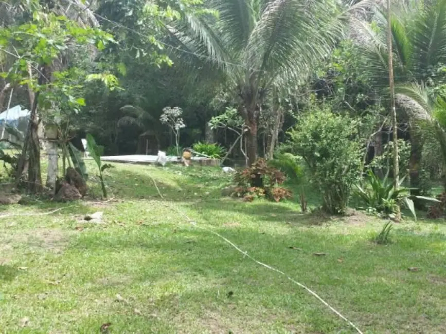 Foto 9 de Chácara com 3 quartos à venda, 11000m2 em Manaus - AM