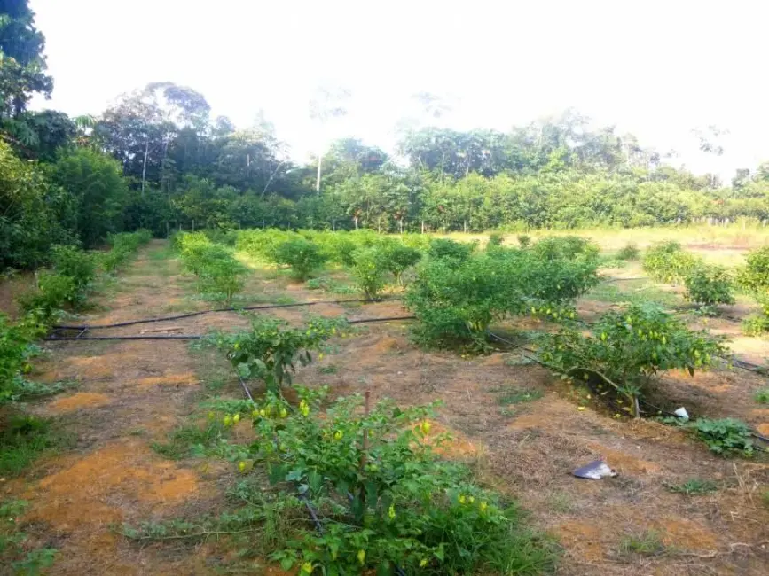 Sítio / Rancho com 4 quartos à venda, 144m2 em Presidente Figueiredo - AM - imagem 3 Foto 3 de Sítio / Rancho com 4 quartos à venda, 144m2 em Presidente Figueiredo - AM