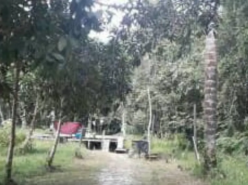 Sítio / Rancho com 1 quarto à venda, 770m2 em Manaus - AM - imagem 3 Foto 3 de Sítio / Rancho com 1 quarto à venda, 770m2 em Manaus - AM