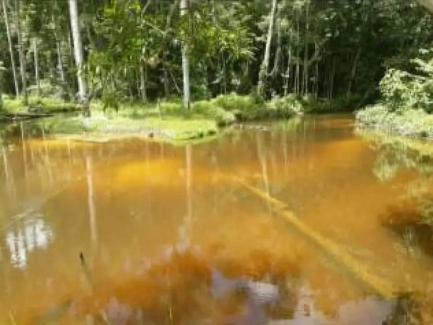 Sítio / Rancho com 1 quarto à venda, 770m2 em Manaus - AM - imagem 6 Foto 6 de Sítio / Rancho com 1 quarto à venda, 770m2 em Manaus - AM