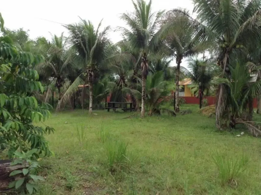 Foto 5 de Terreno / Lote à venda em Rio Preto Da Eva - AM
