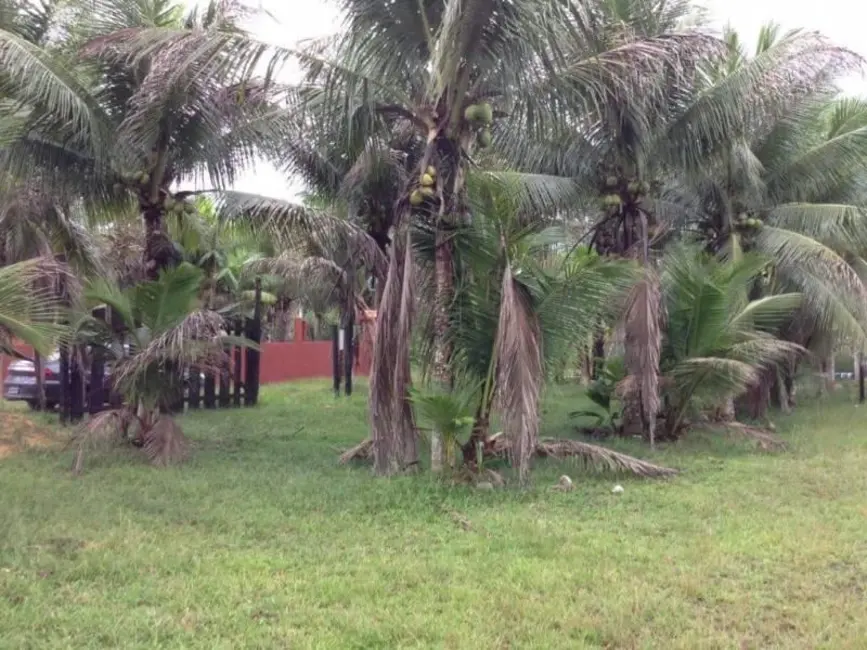Foto 8 de Terreno / Lote à venda em Rio Preto Da Eva - AM