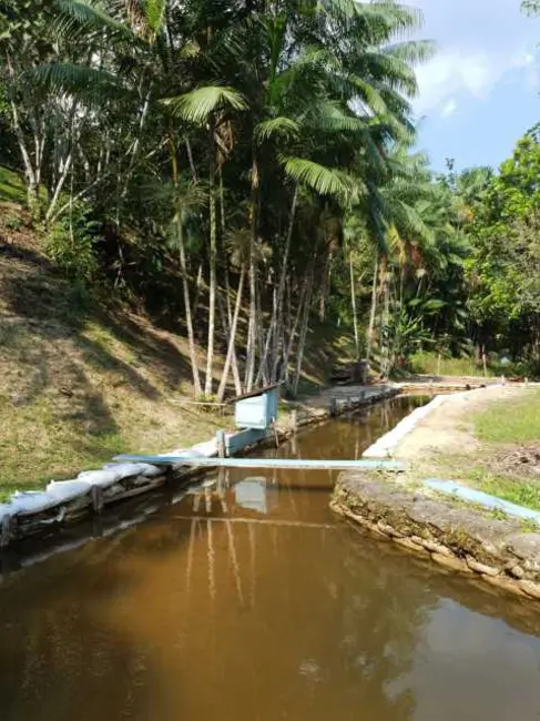 Foto 4 de Chácara com 4 quartos à venda, 210m2 em Rio Preto Da Eva - AM