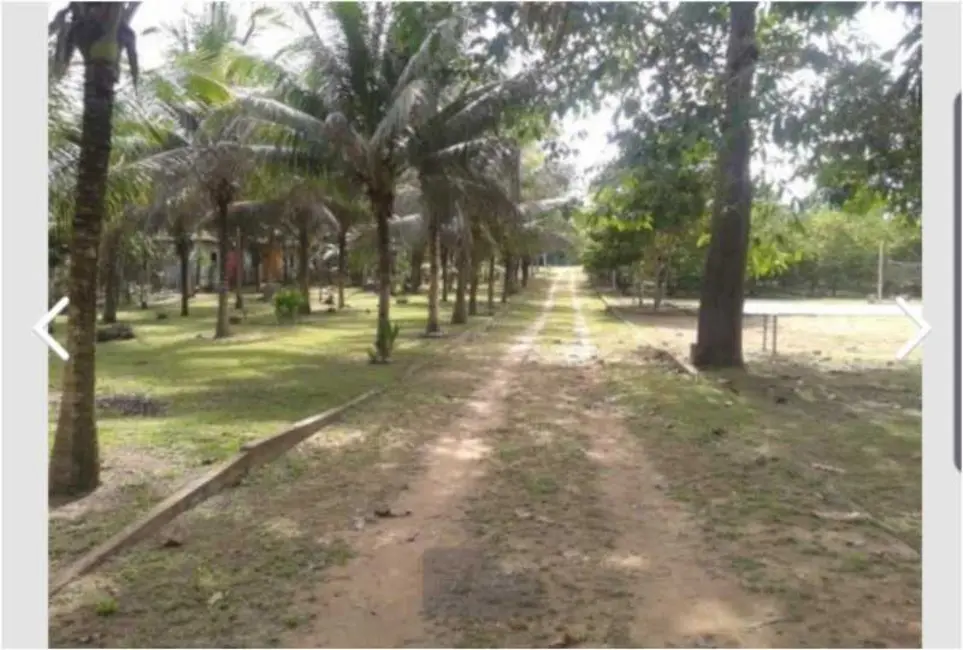 Foto 6 de Chácara com 4 quartos à venda, 210m2 em Rio Preto Da Eva - AM