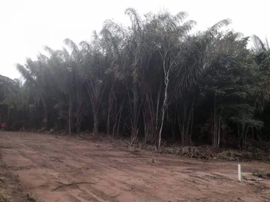 Foto 5 de Terreno / Lote à venda em Iranduba - AM