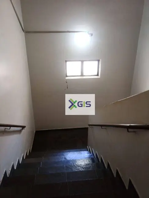 Apartamento com 3 quartos à venda, 80m2 em Bom Jardim, Sao Jose Do Rio Preto - SP - imagem 7 Foto 7 de Apartamento com 3 quartos à venda, 80m2 em Bom Jardim, Sao Jose Do Rio Preto - SP