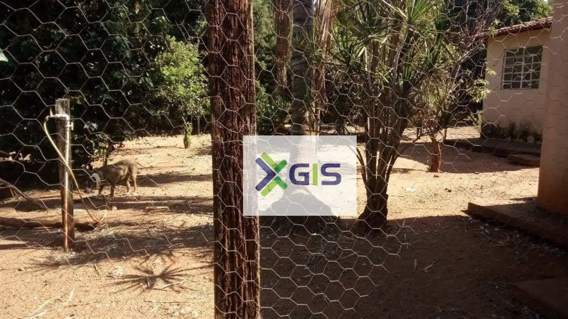 Foto 9 de Chácara com 3 quartos à venda, 1750m2 em Sao Jose Do Rio Preto - SP