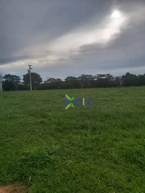 Foto 7 de Sítio / Rancho à venda em Neves Paulista - SP