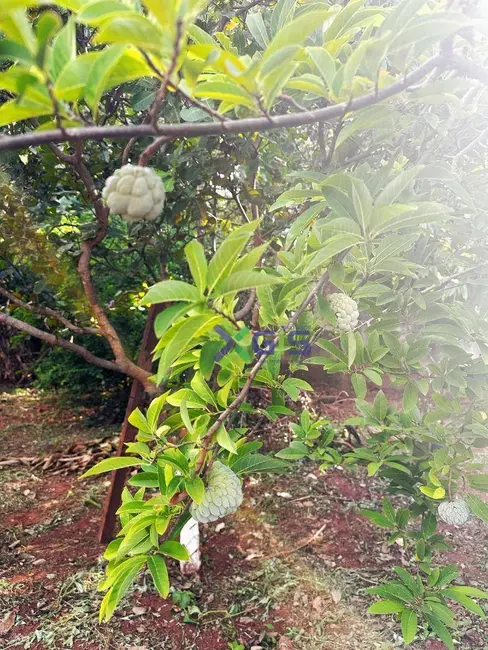 Chácara com 2 quartos à venda, 1000m2 em Guapiacu - SP - imagem 6 Foto 6 de Chácara com 2 quartos à venda, 1000m2 em Guapiacu - SP
