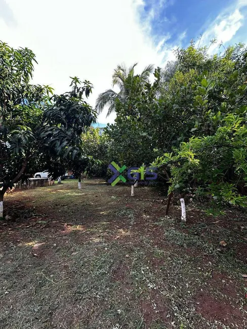 Chácara com 2 quartos à venda, 1000m2 em Guapiacu - SP - imagem 7 Foto 7 de Chácara com 2 quartos à venda, 1000m2 em Guapiacu - SP