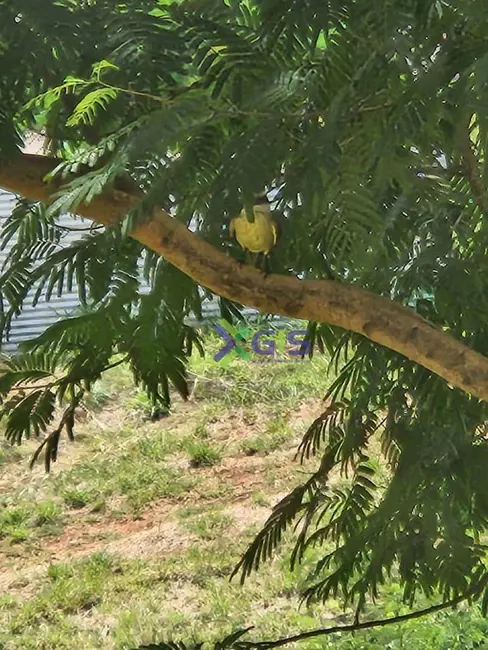 Foto 4 de Apartamento com 3 quartos à venda, 131m2 em Vila Sinibaldi, Sao Jose Do Rio Preto - SP